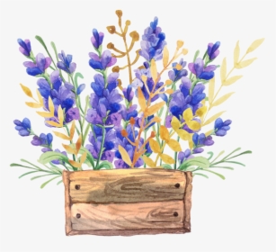 English Painting Flower Box - Flowers Drawing Watercolor, HD Png Download, Free Download