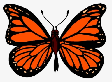 Butterfly Monarch Images Clip Art Image Transparent, HD Png Download, Free Download