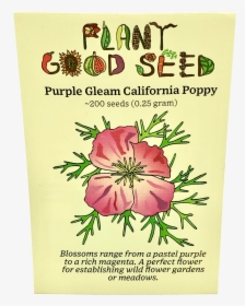 Purple Gleam California Poppy - Seed, HD Png Download, Free Download