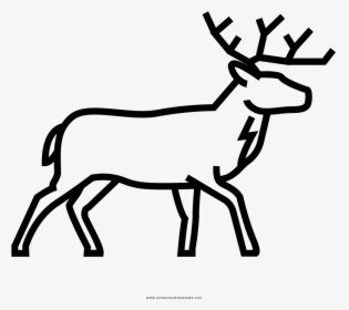 Deer Coloring Page, HD Png Download, Free Download