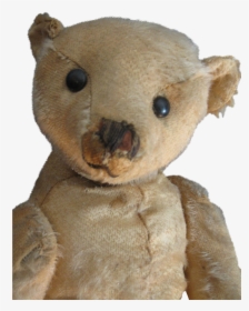 Antique 16 Beige Steiff Bear, Blank Button, Loved - Animal Figure, HD Png Download, Free Download