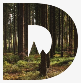 Grove, HD Png Download, Free Download