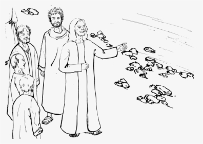 Disciples See Jesus Png - Primeros Discipulos De Jesus Para Colorear, Transparent Png, Free Download