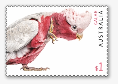 Australian Fauna Stamp Issue - Australian Postage Stamps 2019, HD Png Download, Free Download