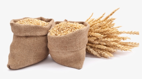 Agrarians Value Barley For Being A Short Crop - Wheat Grain Bag Png, Transparent Png, Free Download