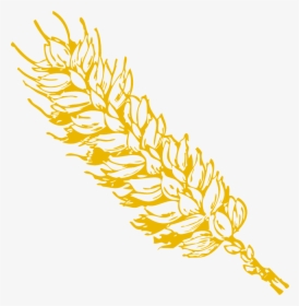 Wheat Clip Art, HD Png Download, Free Download