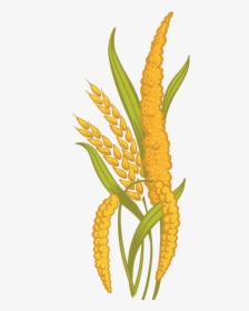 Ancient Grains Cliparts - Millet Grain Clipart, HD Png Download, Free Download