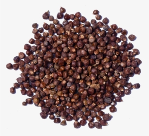 Tomar Seed, HD Png Download, Free Download