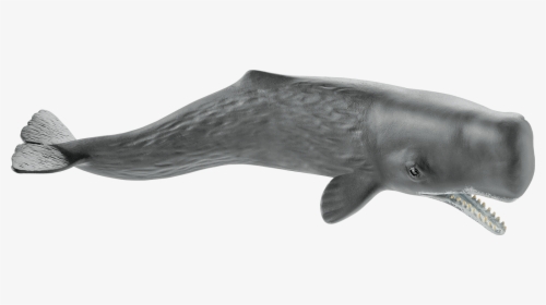 Schleich 14764 Sperm Whale, , Large - Schleich Sperm Whale, HD Png Download, Free Download