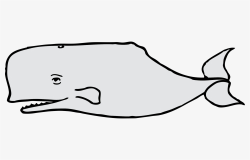 Sperm Whale Clip Art, HD Png Download, Free Download