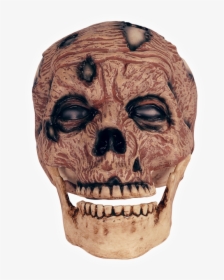 Zombie Head Png, Transparent Png, Free Download