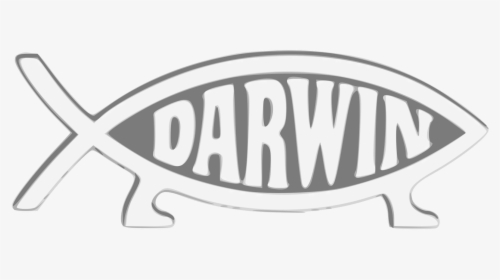 Basics Of Evolution For Christians - Darwin Fish, HD Png Download, Free Download