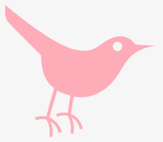 Transparent Pink Twitter Png - Bird Icon Png Free Download, Png Download, Free Download