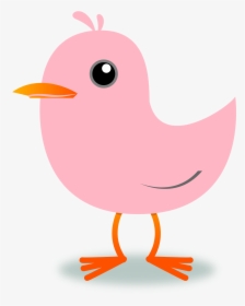 Tweet Twitter Bird Cherry Blossom Pink Xochi - Bird Cartoon Gif Png, Transparent Png, Free Download