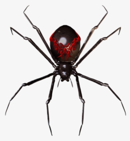 Spider Widget Clip Art Clipart Transparent Png - Black Widow Spider Transparent, Png Download, Free Download