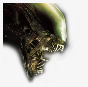 Download Alien Movie Png - Alien Anthology Blu Ray, Transparent Png, Free Download