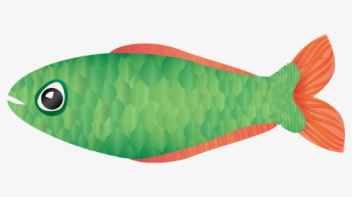 Graphic, Rainbow Fish, Tropical Fish, Fish, Scales - Parrotfish, HD Png Download, Free Download