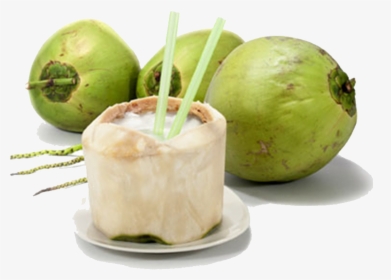 Fresh Coconut - Coconut Juice Png, Transparent Png, Free Download