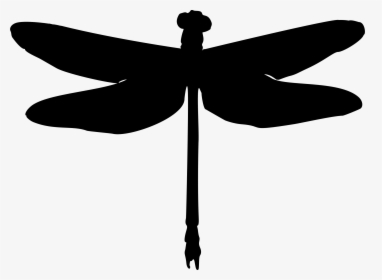 Medium Image Png - Clipart Silhouette Dragonfly, Transparent Png, Free Download