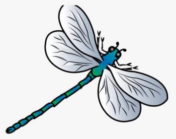 Free Dragonfly Clipart - Dragonfly Clipart Png, Transparent Png, Free Download