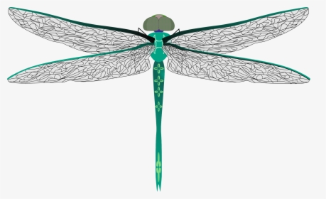 Clipart Teal Dragonfly - Darning Needle Bug, HD Png Download, Free Download
