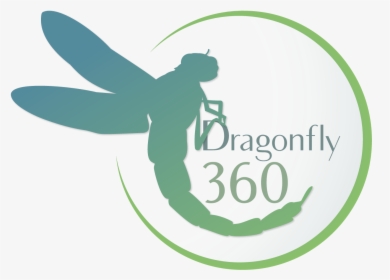 Logo Design By Quortex Design For This Project - Dragonflies And Damseflies, HD Png Download, Free Download