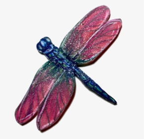 Dragonfly, HD Png Download, Free Download