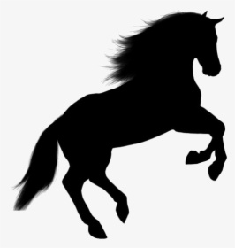Wild Horse Jumping Silhouette Png - Transparent Background Horse Png, Png Download, Free Download