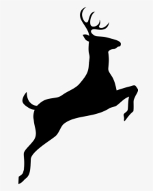 Vintage, Leaping, Jumping, Deer, Animal, Silhouette - Dear Black And White, HD Png Download, Free Download
