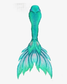 Finfolk Mermaid Tail , Transparent Cartoons - Mermaid Tail Finfolk, HD Png Download, Free Download