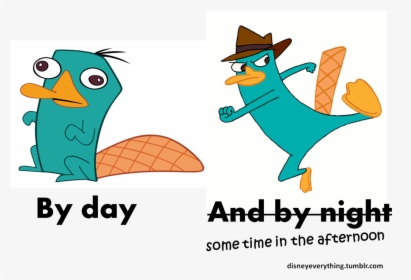 “ Follow For More Disney"s Phineas And Ferb Agent P/ - Draw Perry The Platypus Agent, HD Png Download, Free Download