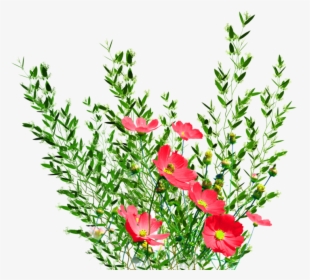 Png Garden Flowers By Kmygest-d5f8g9p - Png Format Real Flower Png, Transparent Png, Free Download