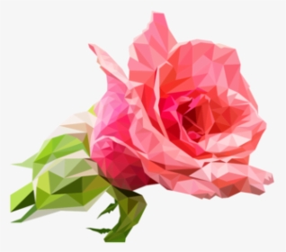 Pink,plant,flower - Garden Roses, HD Png Download, Free Download