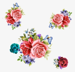 Garden Roses Beach Rose Pink Flower, HD Png Download, Free Download