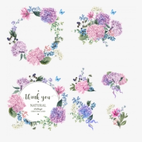 Free Hydrangea Watercolor Wreath, HD Png Download, Free Download