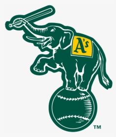 Oakland Athletics Elephant Logo - Oakland As Elephant Logo, HD Png Download, Free Download