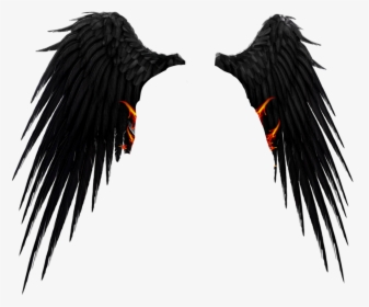#darkangel #devil #wings #satan #lucifer - Ivory-billed Woodpecker, HD Png Download, Free Download