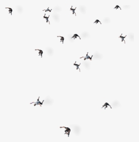 Story 10 - Flock, HD Png Download, Free Download
