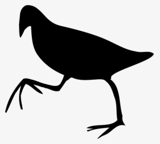 Beak Clip Art Bird Silhouette Line Art, HD Png Download, Free Download