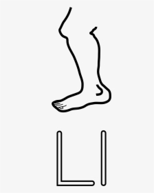 L Is For Leg Clip Arts - Line Drawing Of Leg, HD Png Download, Free Download