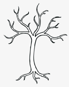 Resultado De Imagen Para Arbol Con Ramas El Cuerpo - Tree With 5 Branches, HD Png Download, Free Download