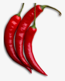 Transparent Chilis Logo Png - Chile De Arbol Png, Png Download, Free Download