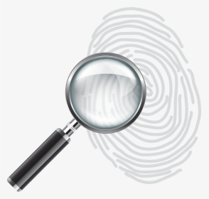 Magnifying Glass Fingerprint Magnification Clip Art - Magnifying Glass Fingerprint Clipart, HD Png Download, Free Download