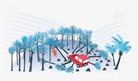 Front Cover Image From The Driving Deforestation Report - Illustration, HD Png Download, Free Download