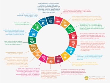 Sustainable Development Goals Vector, HD Png Download, Free Download