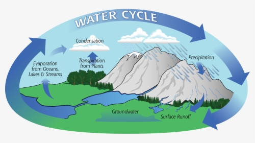Water Cycle Art2a - Water Cycle For Class 4, HD Png Download, Free Download