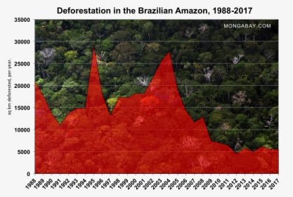 Present Condition Of Amazon Rainforest, HD Png Download, Free Download