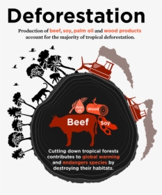 What's Driving Deforestation, HD Png Download, Free Download