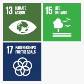 Deforestation Of High Carbon Stock Forests And Peat - 13 Sustainable Development Goals, HD Png Download, Free Download