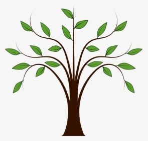 Transparent Spring Clipart - Tree Drawing With Leaves, HD Png Download, Free Download